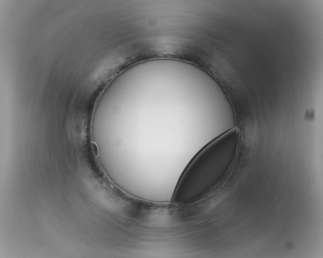 X0000113090740200909182113