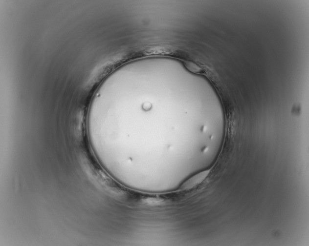 X0000113090742200909182113