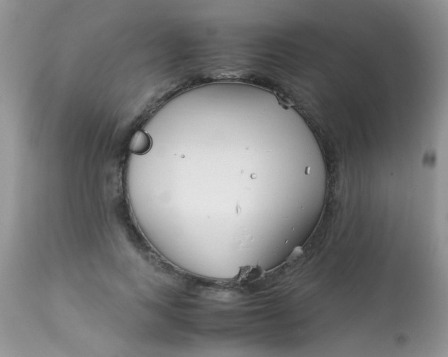 X0000113090743200909182113