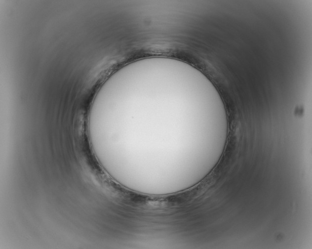 X0000113090744200909182113