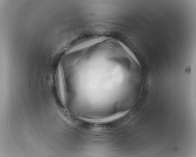 X0000113090746200909182113