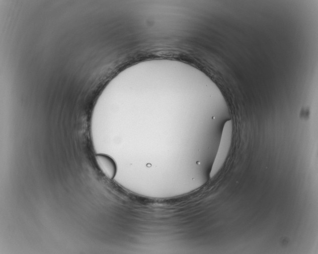 X0000113090748200909182113