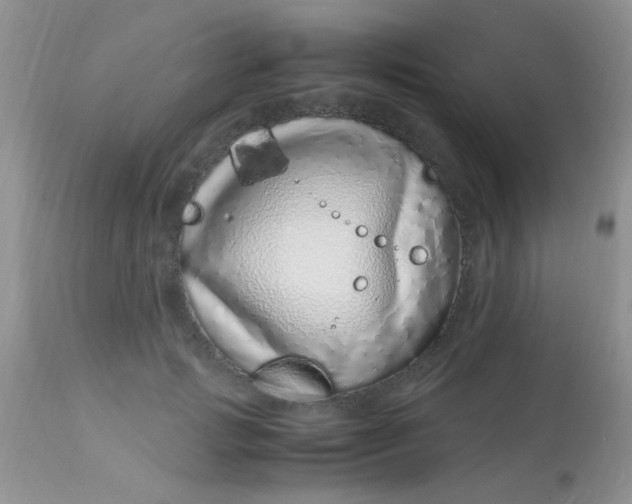 X0000113090749200909182113