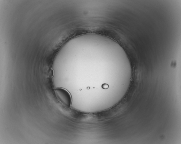 X0000113090750200909182113