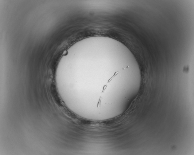 X0000113090752200909182113