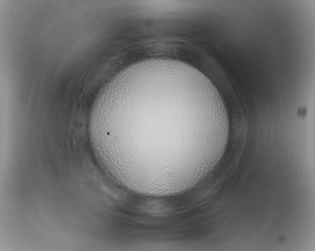 X0000113090753200909182113