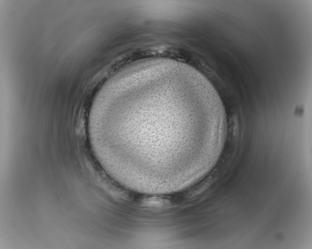 X0000113090754200909182113