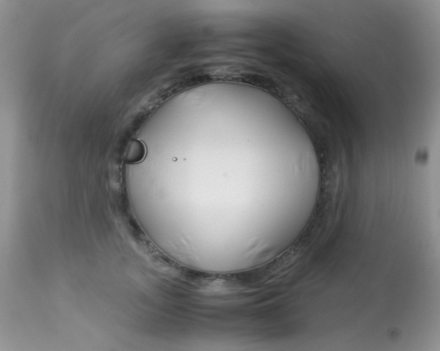 X0000113090755200909182113