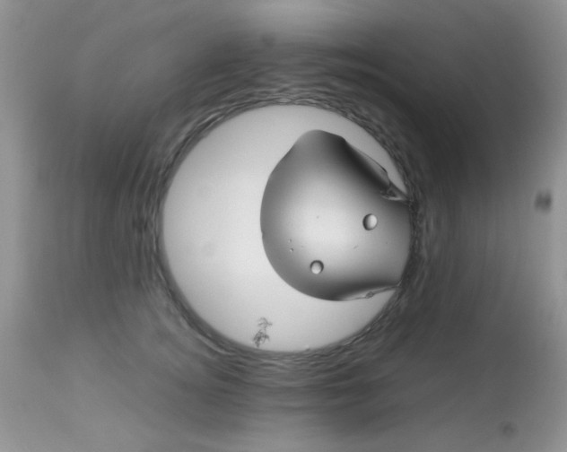 X0000113090756200909182113