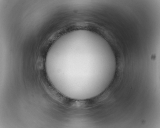 X0000113090758200909182113