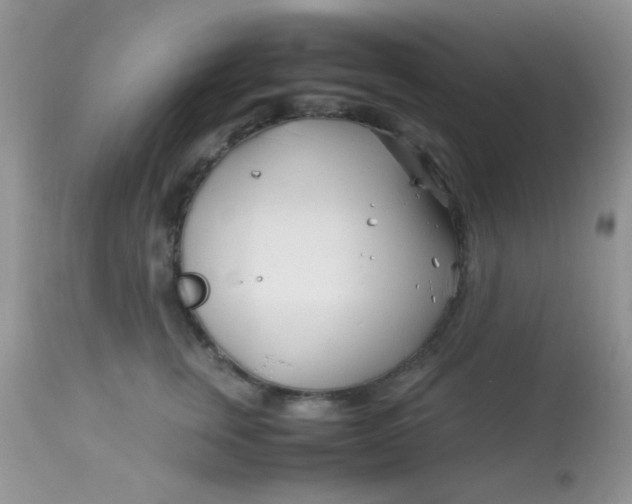 X0000113090759200909182113