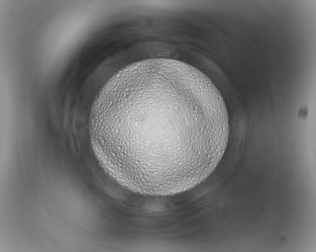 X0000113090761200909182113