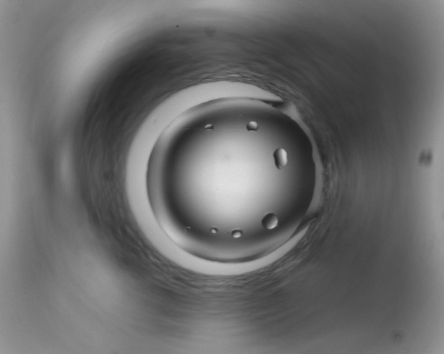 X0000113090762200909182113