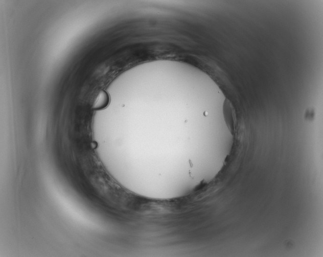 X0000113090763200909182113