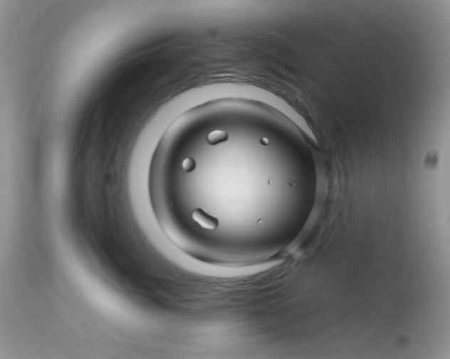 X0000113090764200909182113