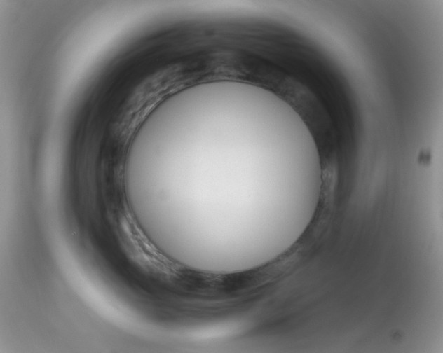 X0000113090765200909182113