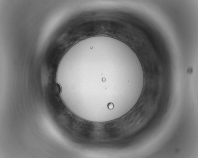 X0000113090766200909182113