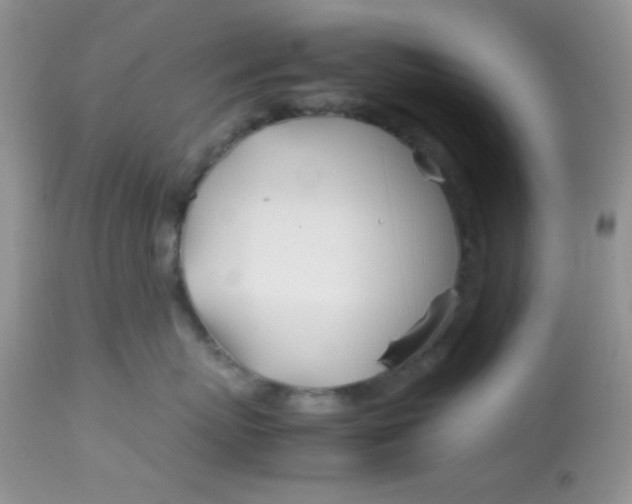 X0000113090767200909182113