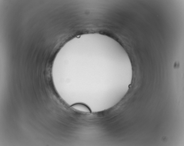 X0000113090768200909182113