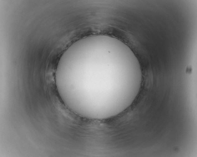 X0000113090770200909182113