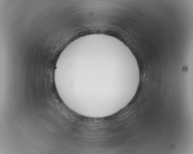 X0000113090772200909182113