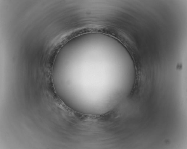 X0000113090773200909182113