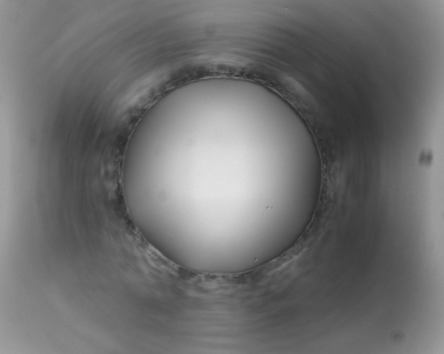 X0000113090774200909182113