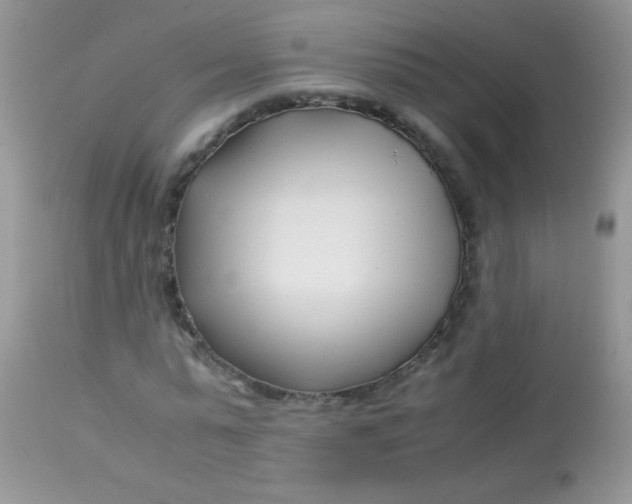 X0000113090775200909182113