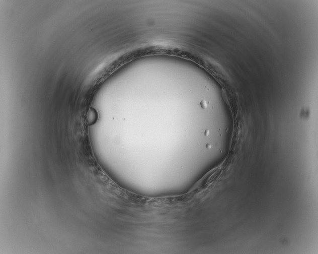 X0000113090776200909182113