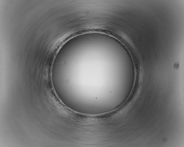 X0000113090777200909182113