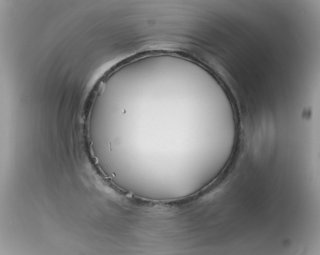 X0000113090779200909182113