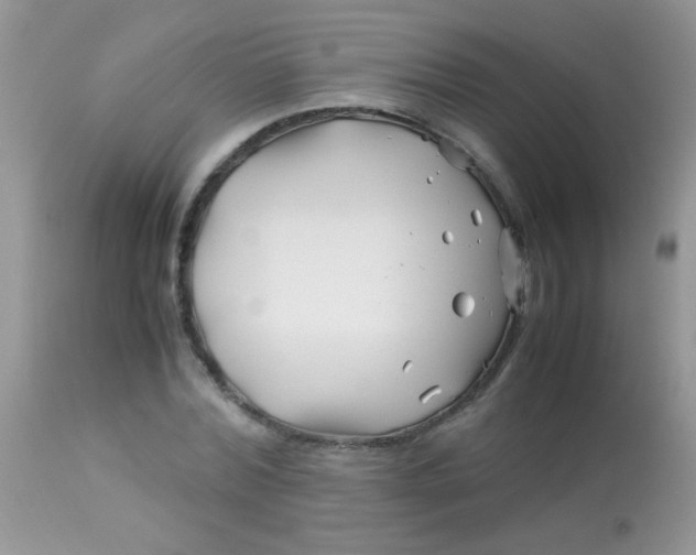 X0000113090780200909182113