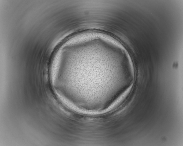 X0000113090782200909182113