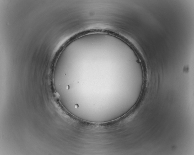 X0000113090783200909182112