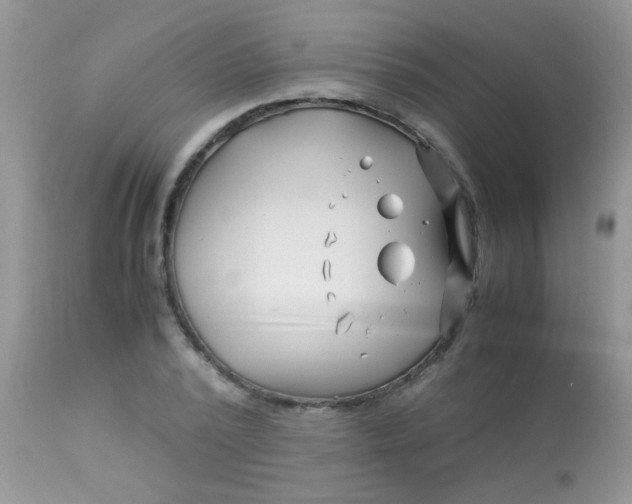 X0000113090784200909182112