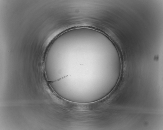 X0000113090789200909182112