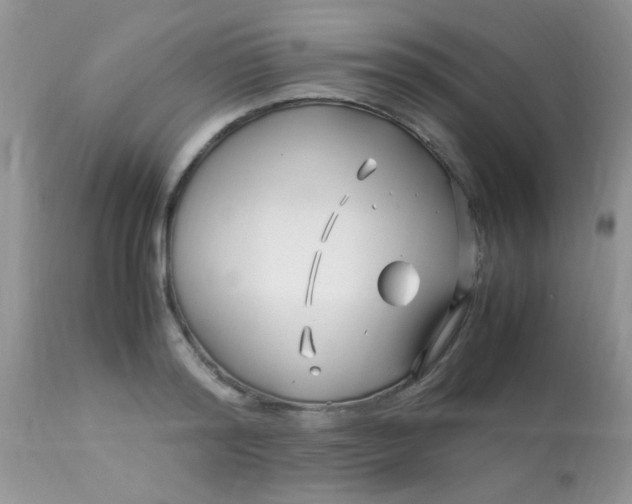 X0000113090796200909182112