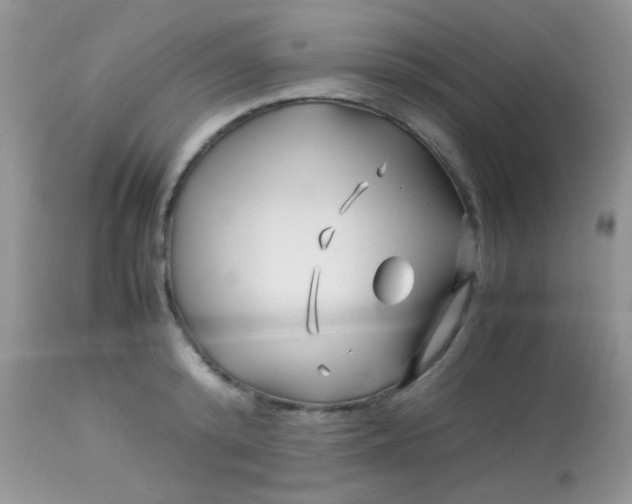 X0000113090800200909182112