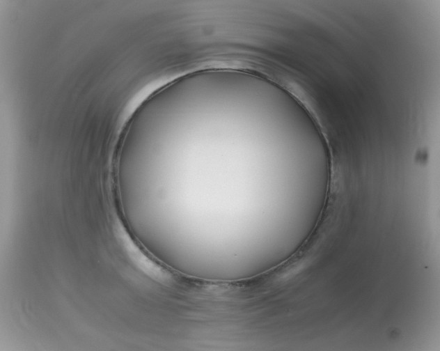 X0000113090803200909182112