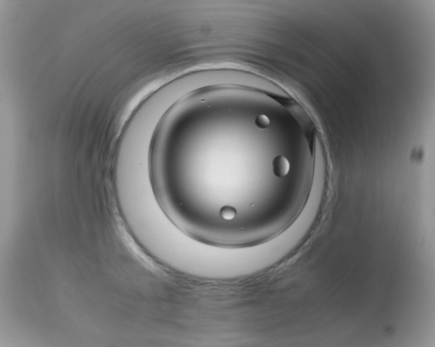 X0000113090805200909182112