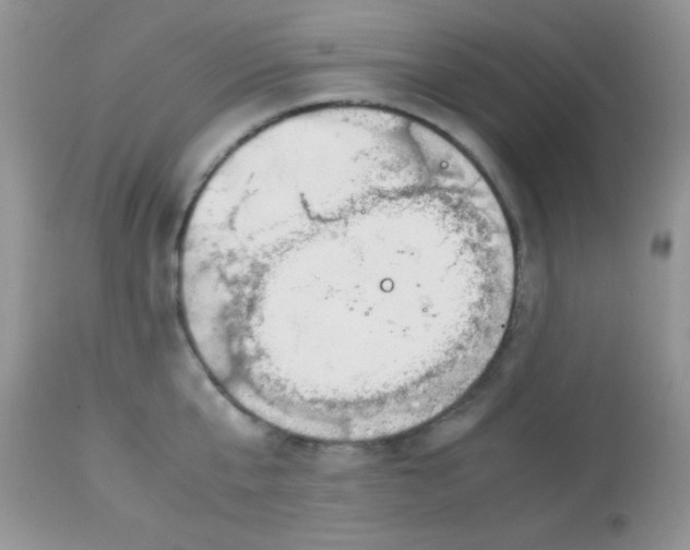 X0000113090807200909182112