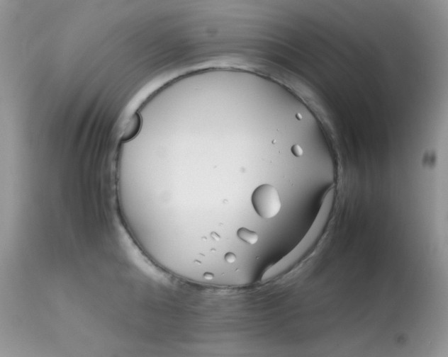 X0000113090808200909182112