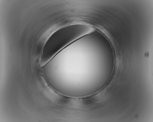 X0000113090809200909182112