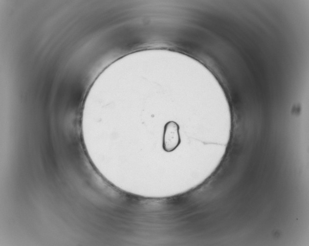 X0000113090810200909182112