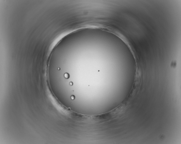 X0000113090811200909182112