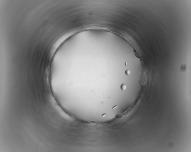 X0000113090812200909182112