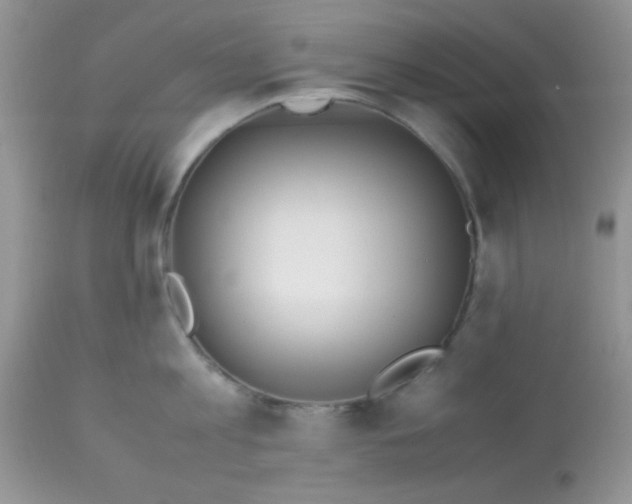 X0000113090813200909182112