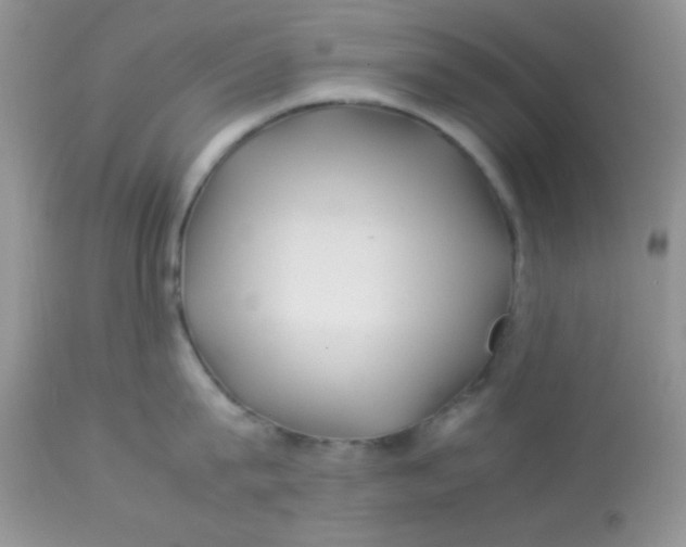 X0000113090815200909182112