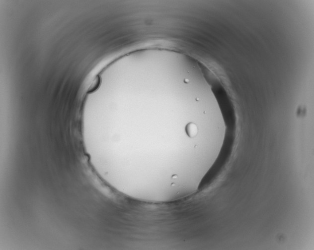 X0000113090816200909182112