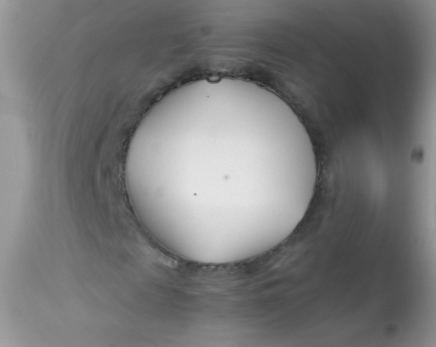 X0000113090817200909182111